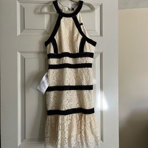 Bcbg beautiful lace dress sz 4 new